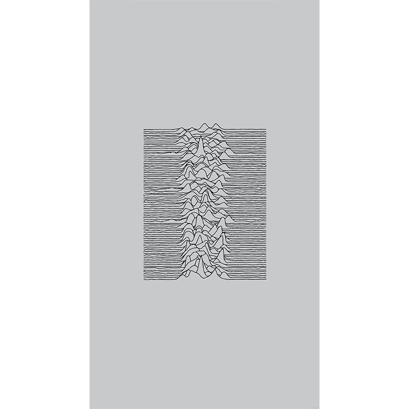 Πίνακας σε καμβά Joy Division Unknown Pleasures Grey